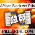 African Black Ant Pills 12